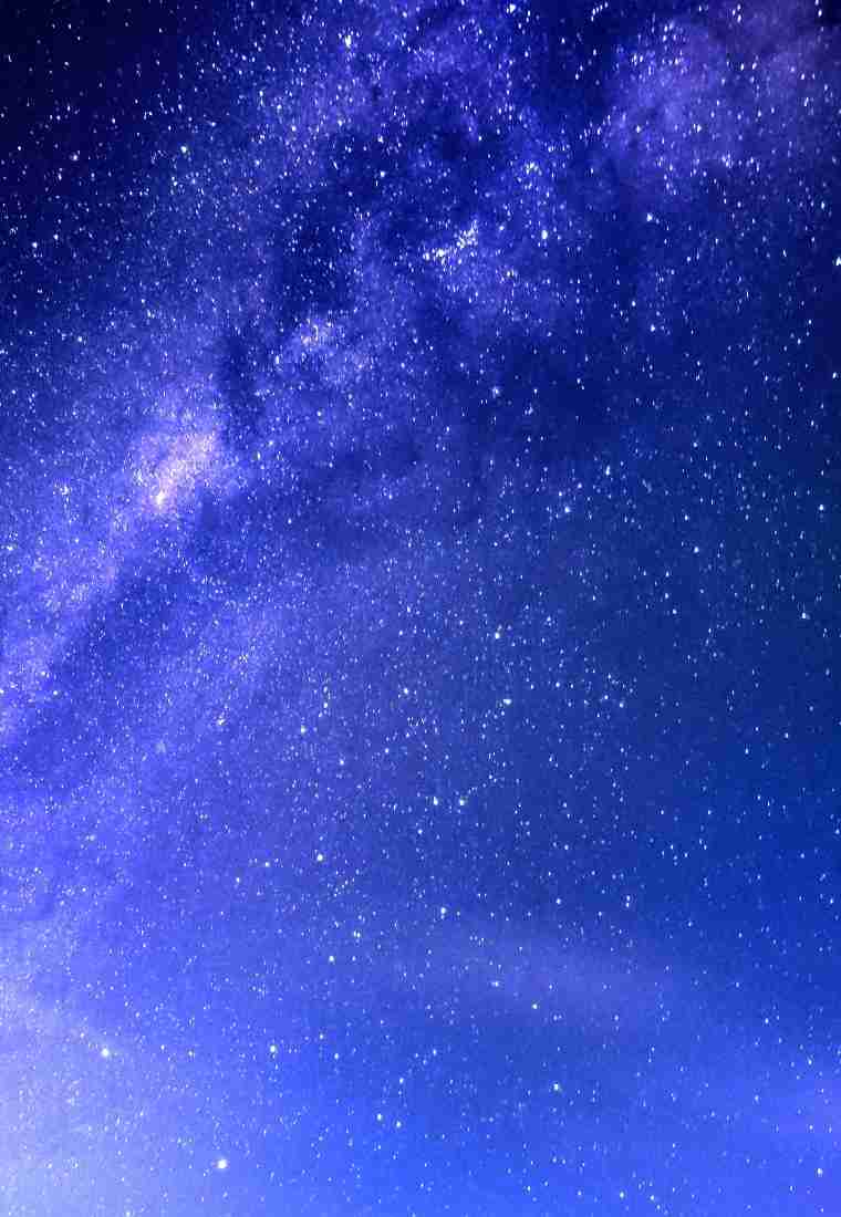 伯爵家的不速之客 第74话 第40页