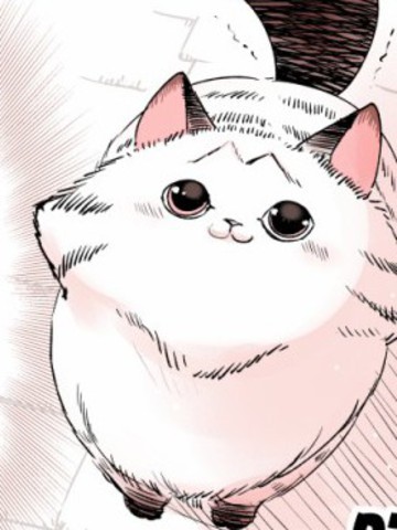 转生猫猫,转生猫猫漫画