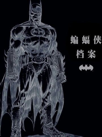 蝙蝠侠档案,蝙蝠侠档案漫画