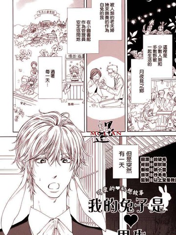 我的兔子是男生,我的兔子是男生漫画