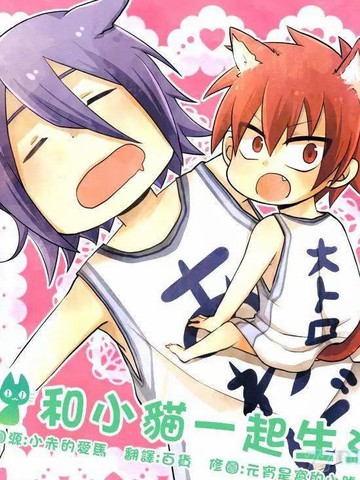 和小猫一起生活,和小猫一起生活漫画