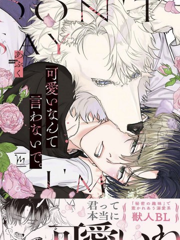不要说我可爱,不要说我可爱漫画