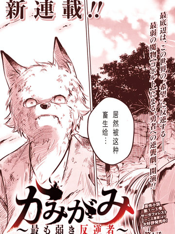 神与神 最弱的反击者,神与神 最弱的反击者漫画