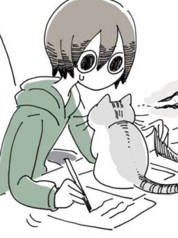 关于养猫我一直是新手,关于养猫我一直是新手漫画