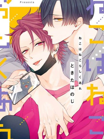 猫模猫样,猫模猫样漫画