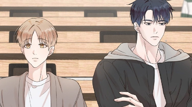 双面对话框,双面对话框漫画