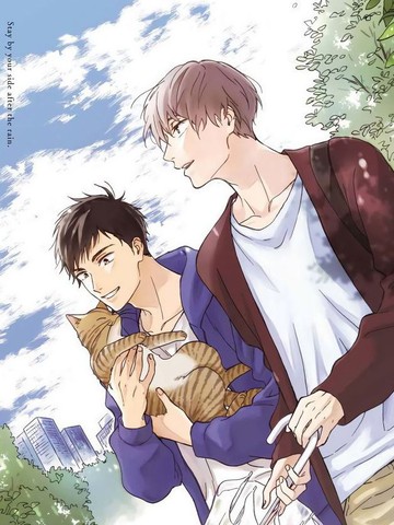 雨后的我们,雨后的我们漫画