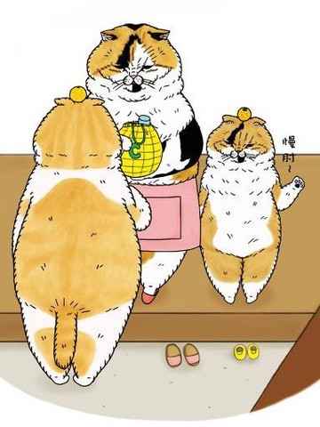 世界奇喵物语,世界奇喵物语漫画
