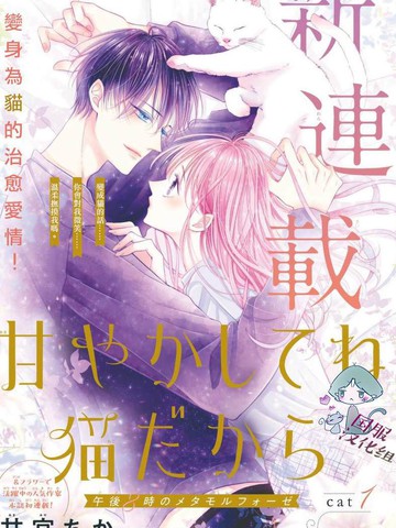快来宠我嘛！我可是猫猫,快来宠我嘛！我可是猫猫漫画