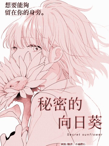 秘密的向日葵,秘密的向日葵漫画
