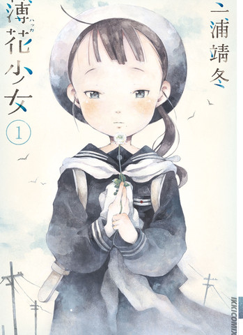 薄花少女,薄花少女漫画