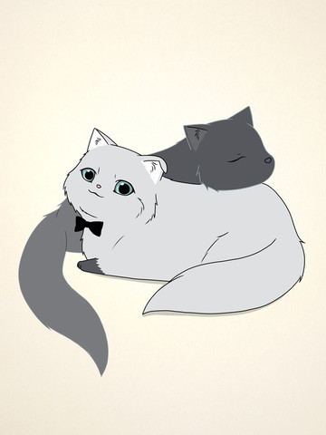 白猫与黑猫,白猫与黑猫漫画