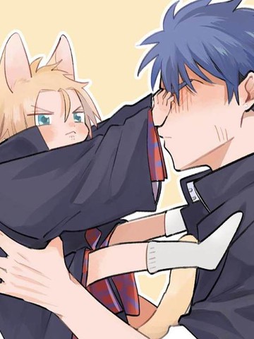 不良与猫,不良与猫漫画