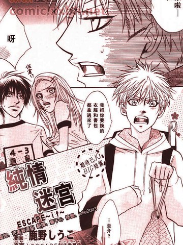纯情迷宫,纯情迷宫漫画