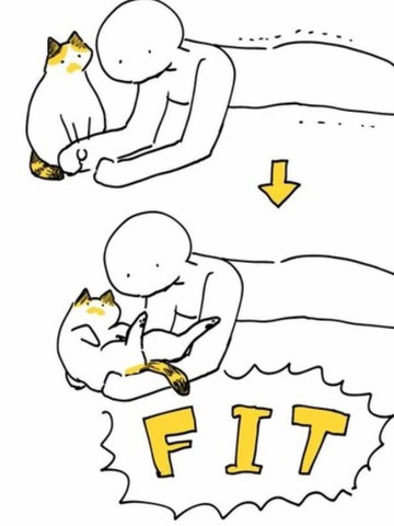 与猫的生活,与猫的生活漫画
