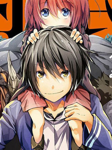 LV999的村民,LV999的村民漫画