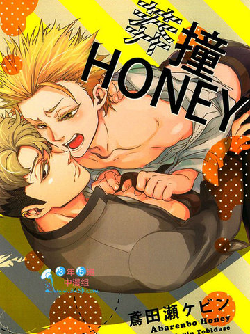 莽撞HONEY,莽撞HONEY漫画