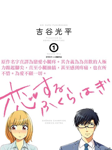 踮起脚尖的恋爱,踮起脚尖的恋爱漫画