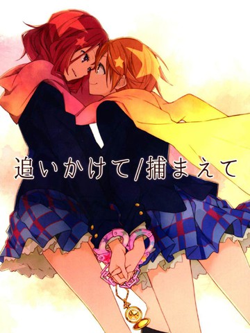 追いかけて捕まえて,追いかけて捕まえて漫画