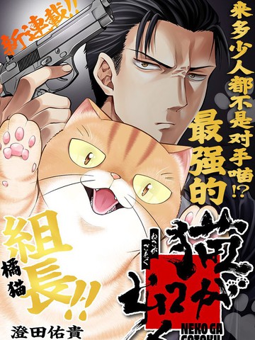 如猫,如猫漫画