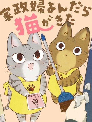 叫了家政来了猫