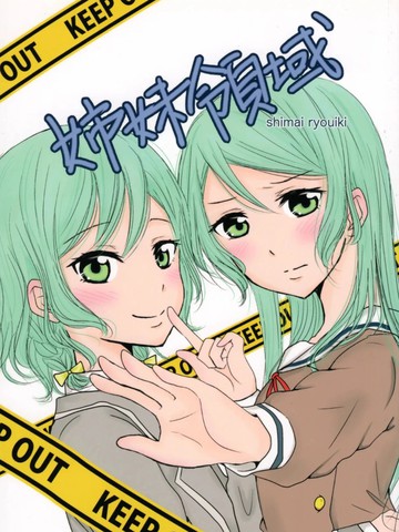 姊妹领域
