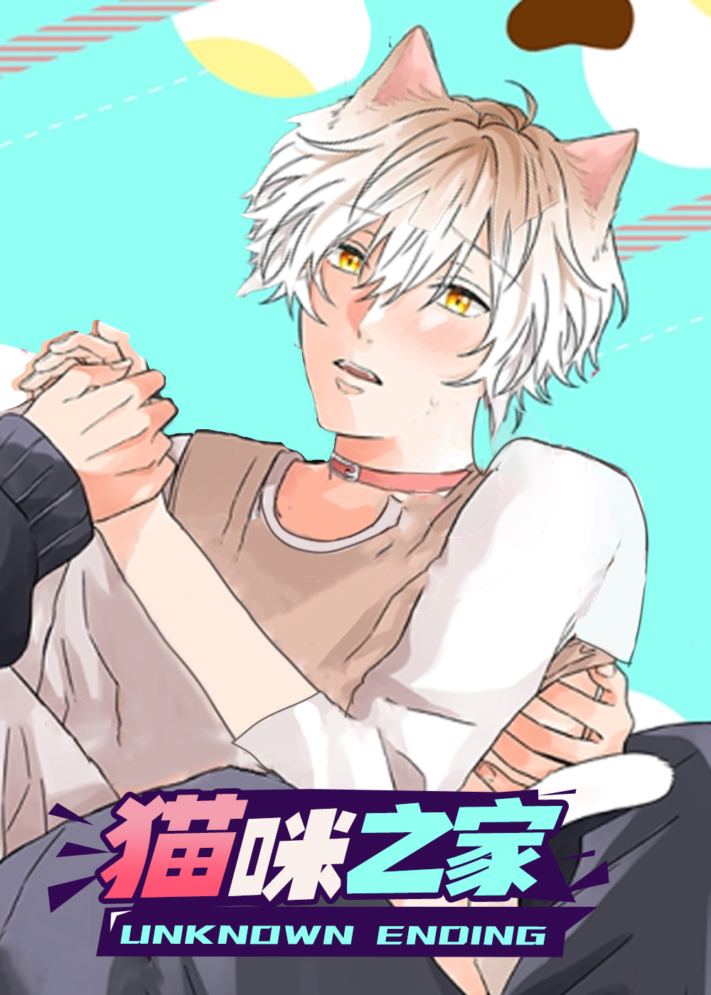 猫咪之家