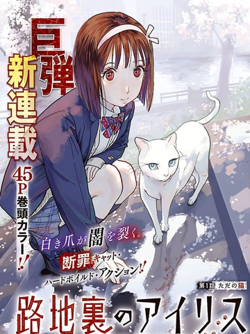巷子里的艾莉丝