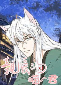 我唯一的猫猫