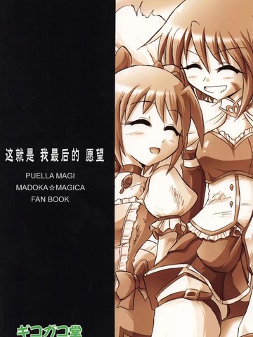 魔法少女小圆 这就是我最后的愿望