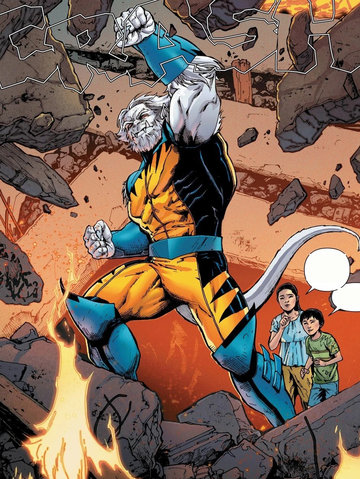 最后的金刚狼v1