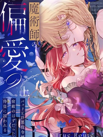 魔法师的偏爱-True Route