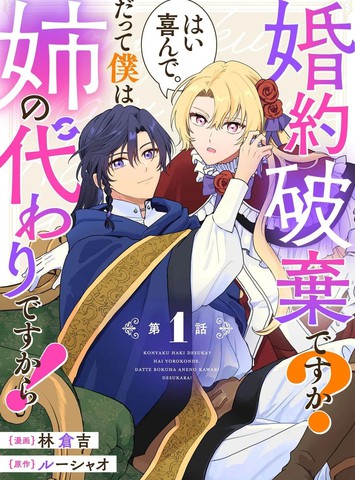 要解除婚约吗？好的，我很乐意。因为我只是姐姐的替身而已！