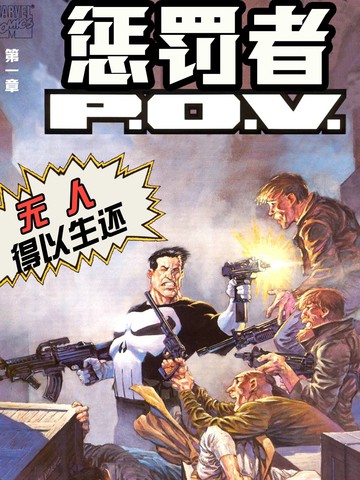 惩罚者：P.O.V.