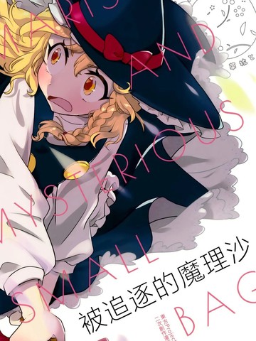 被追逐的魔理沙