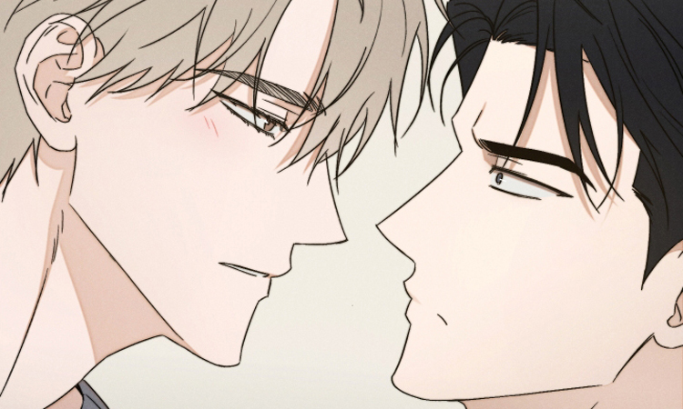 过气偶像饲养指南