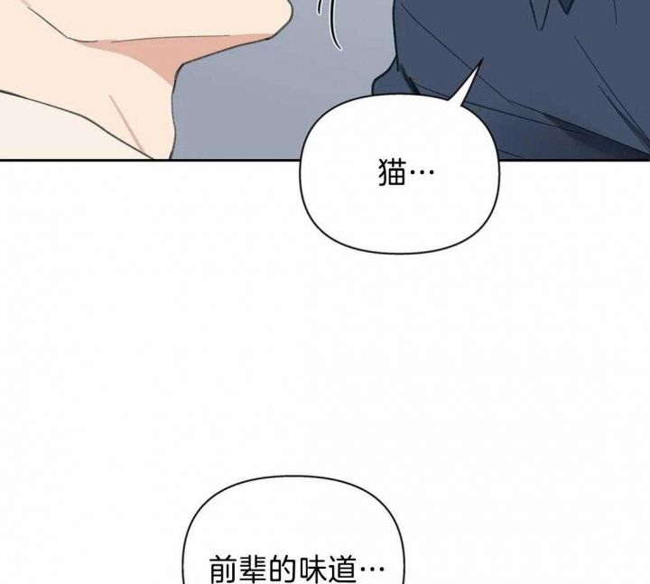 第117话44