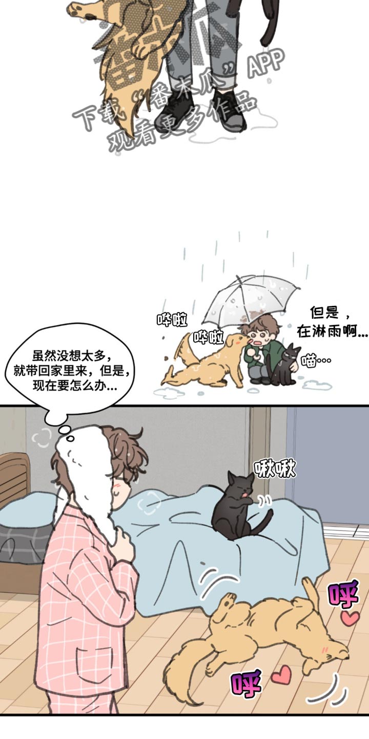 第169话1