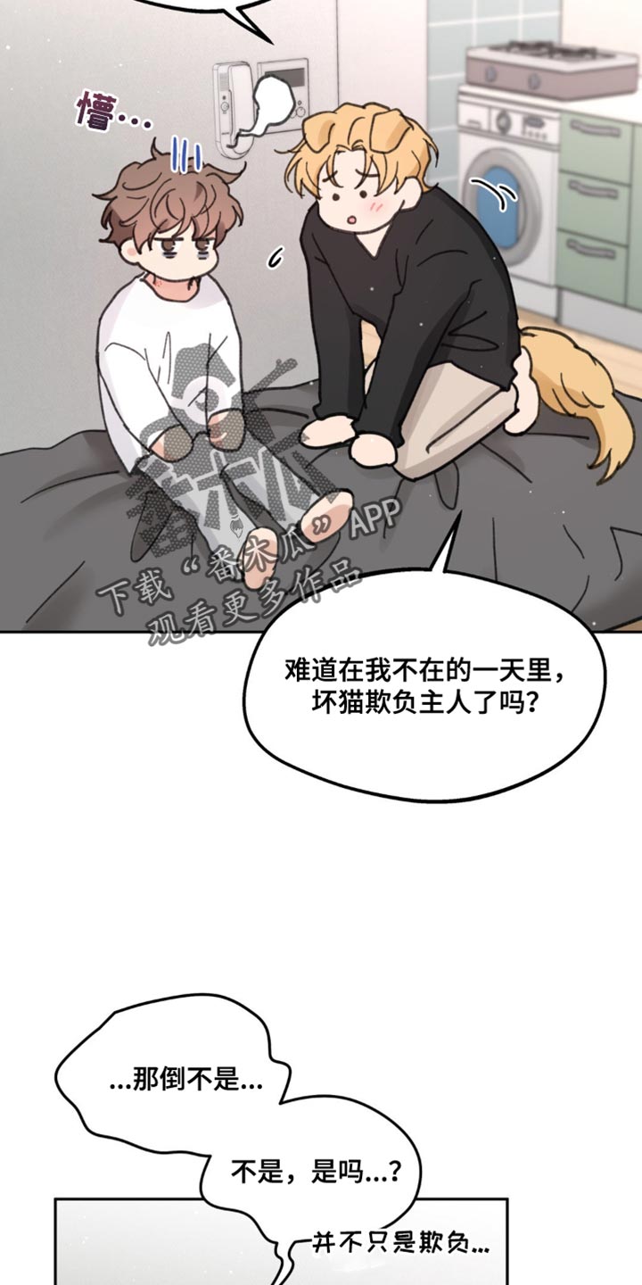 第170话6