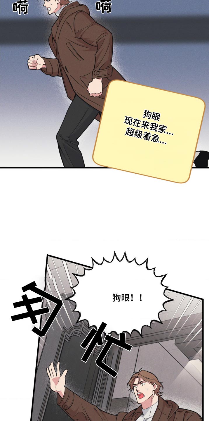 第214话17