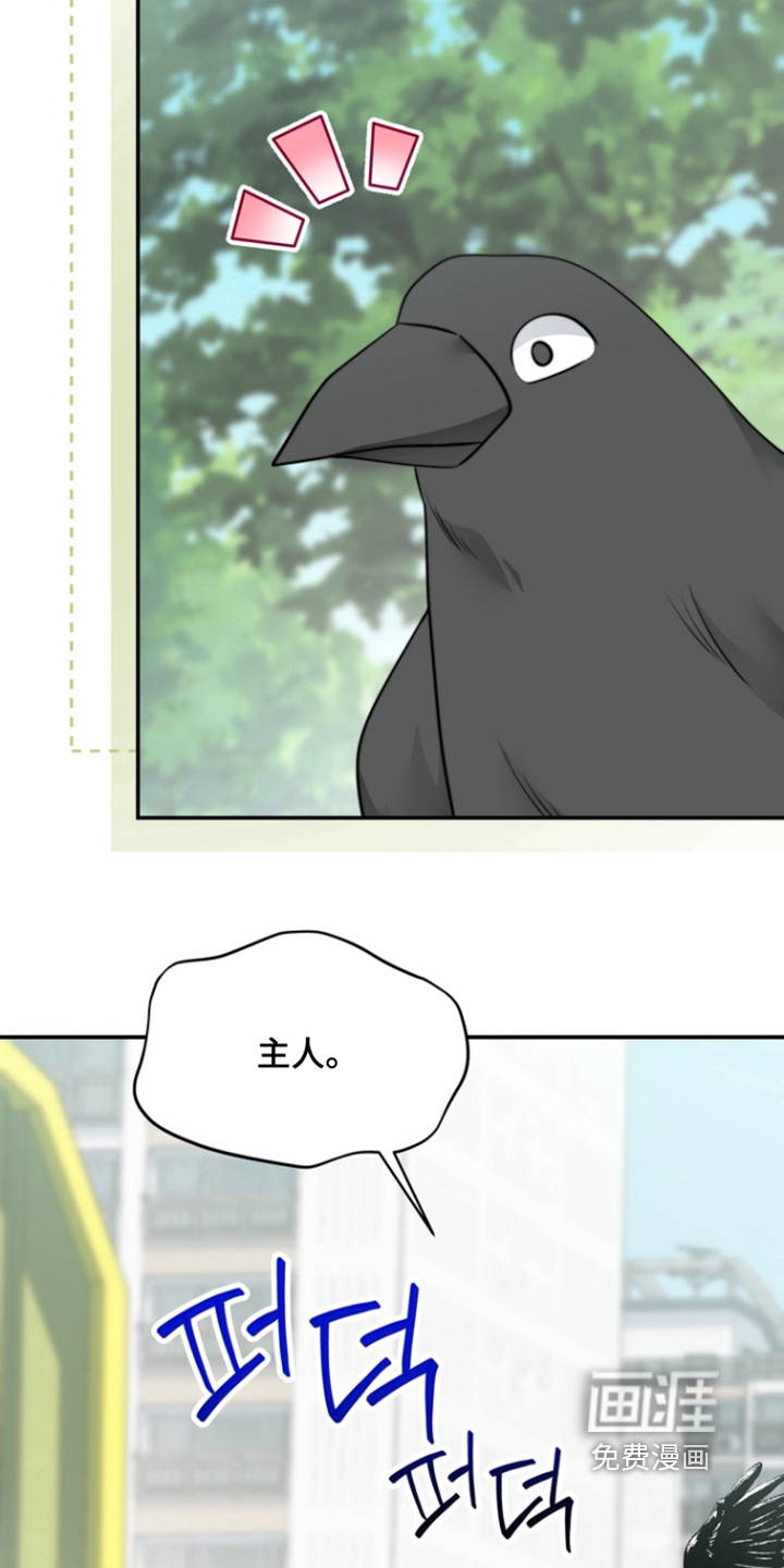 第205话17