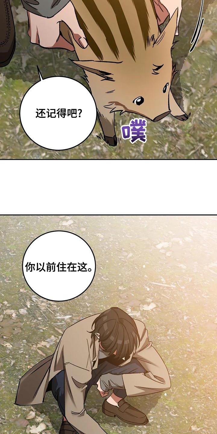 第135话5