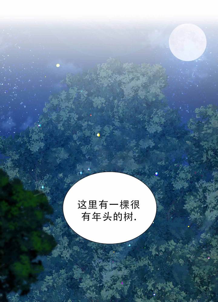 第62话0