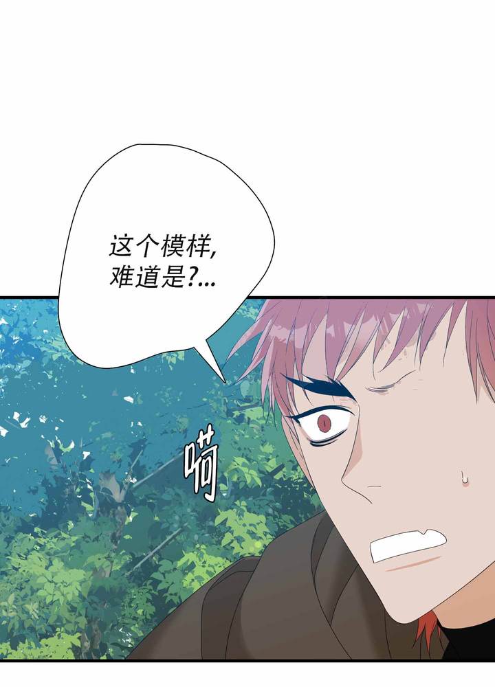 第65话33