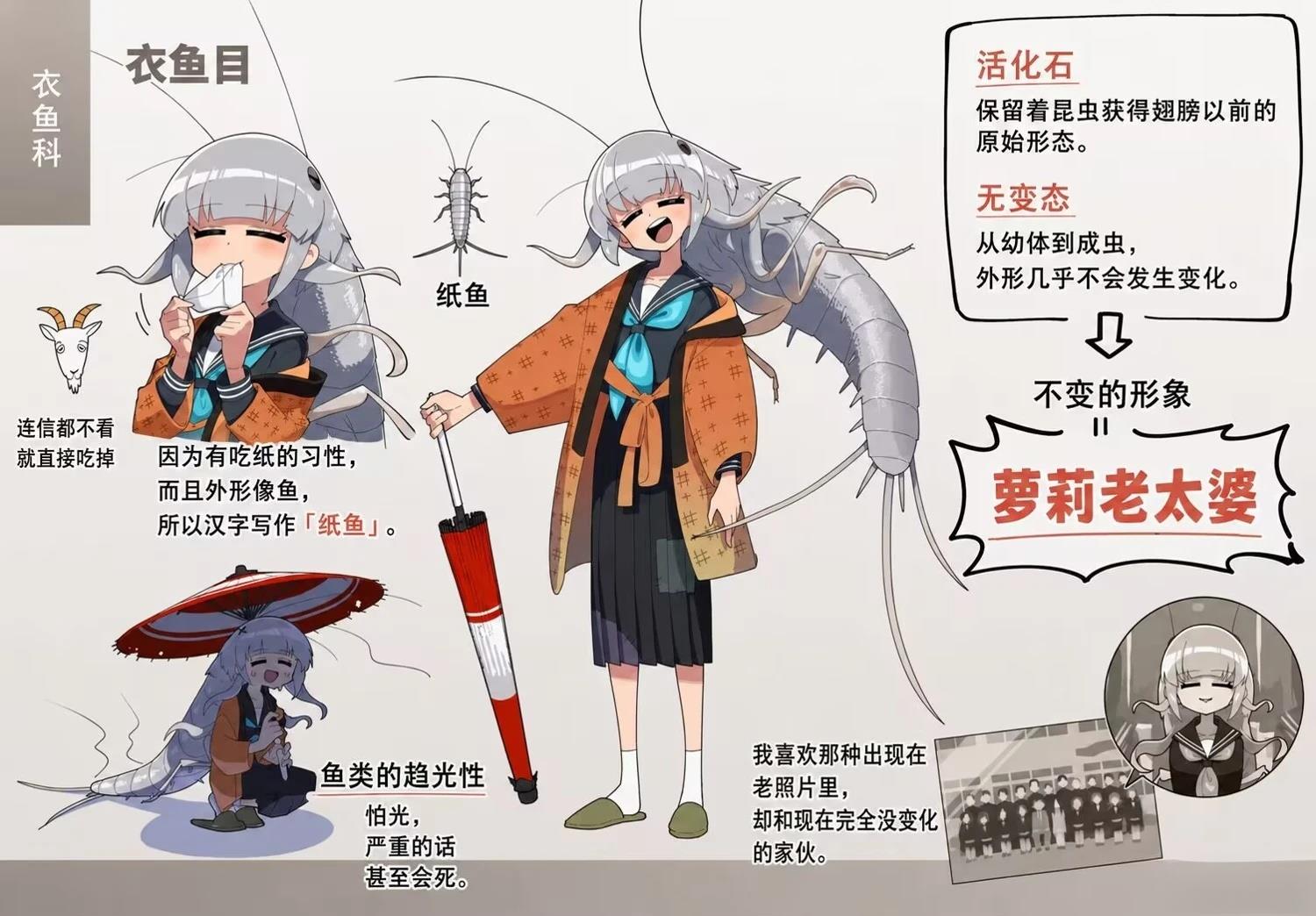 纸鱼人设图0