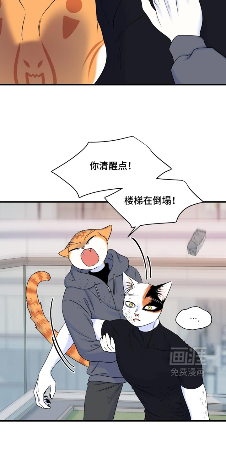 第213话10