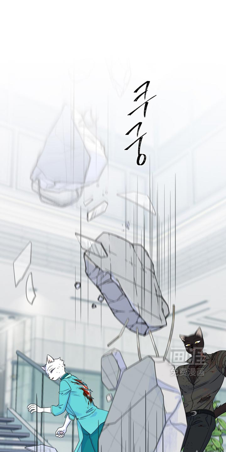 第213话11