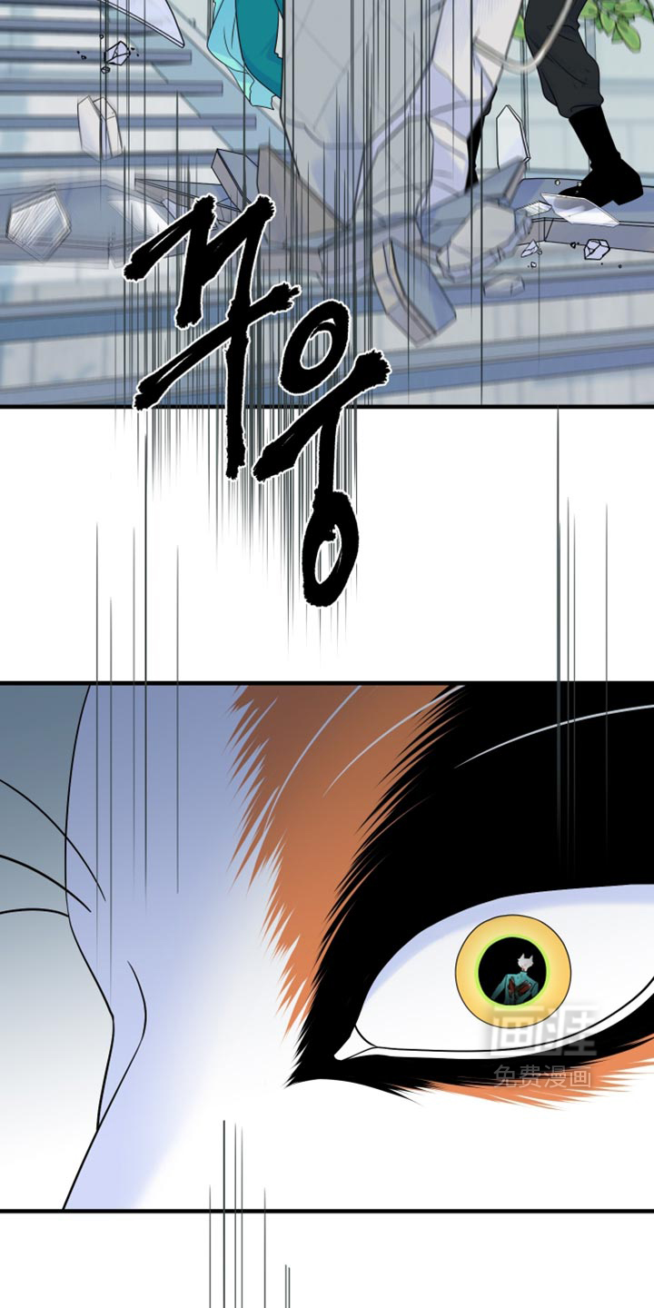 第213话12