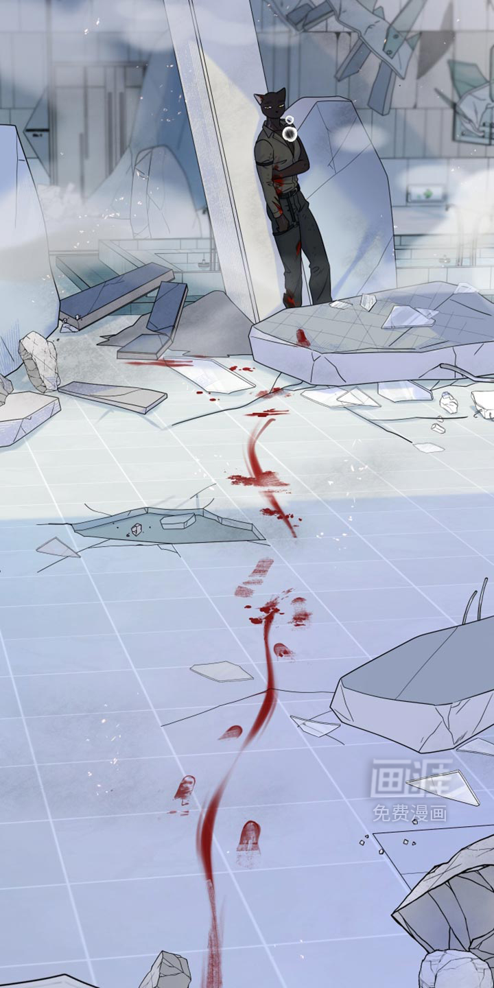 第213话17