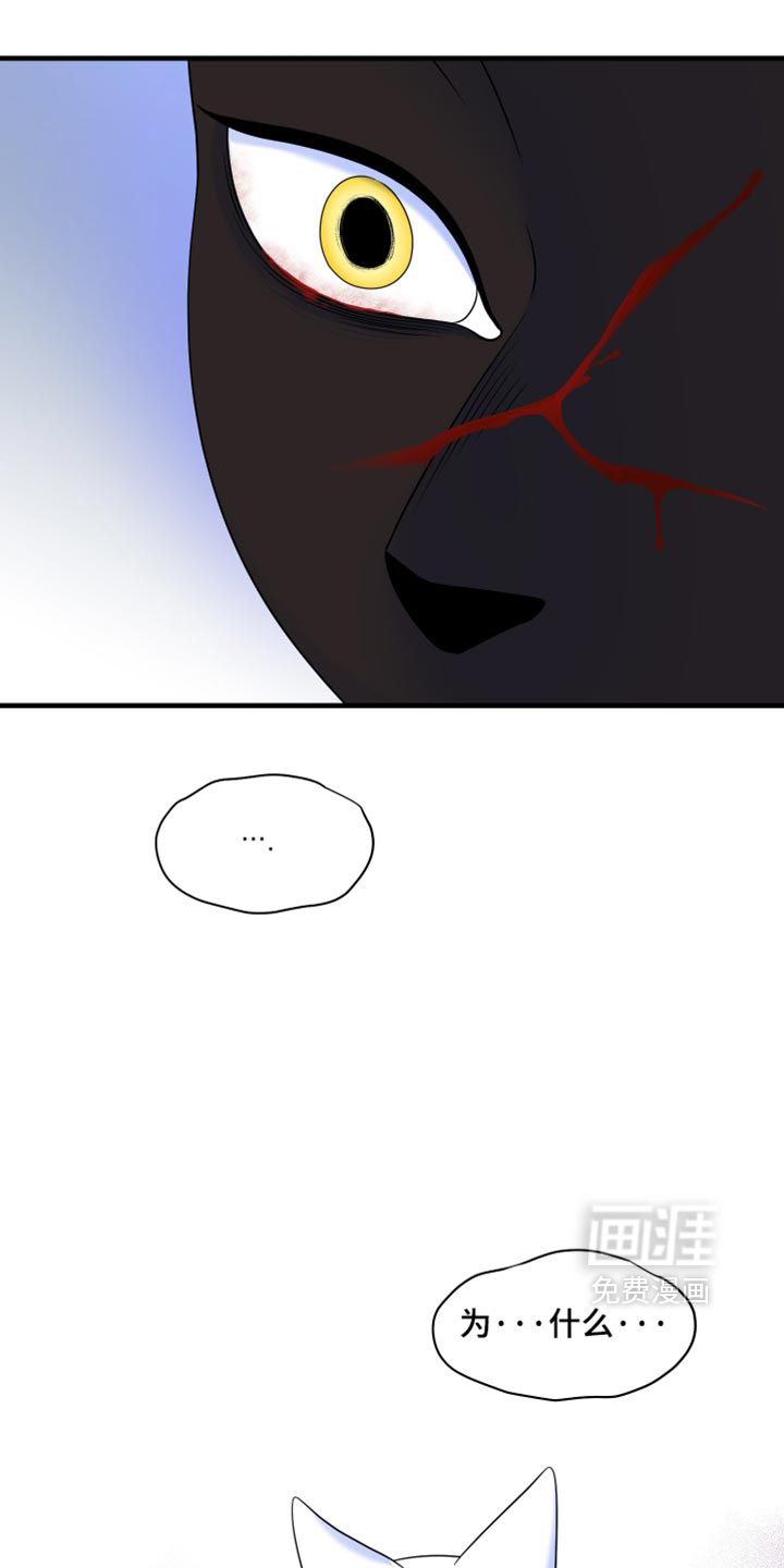 第213话2
